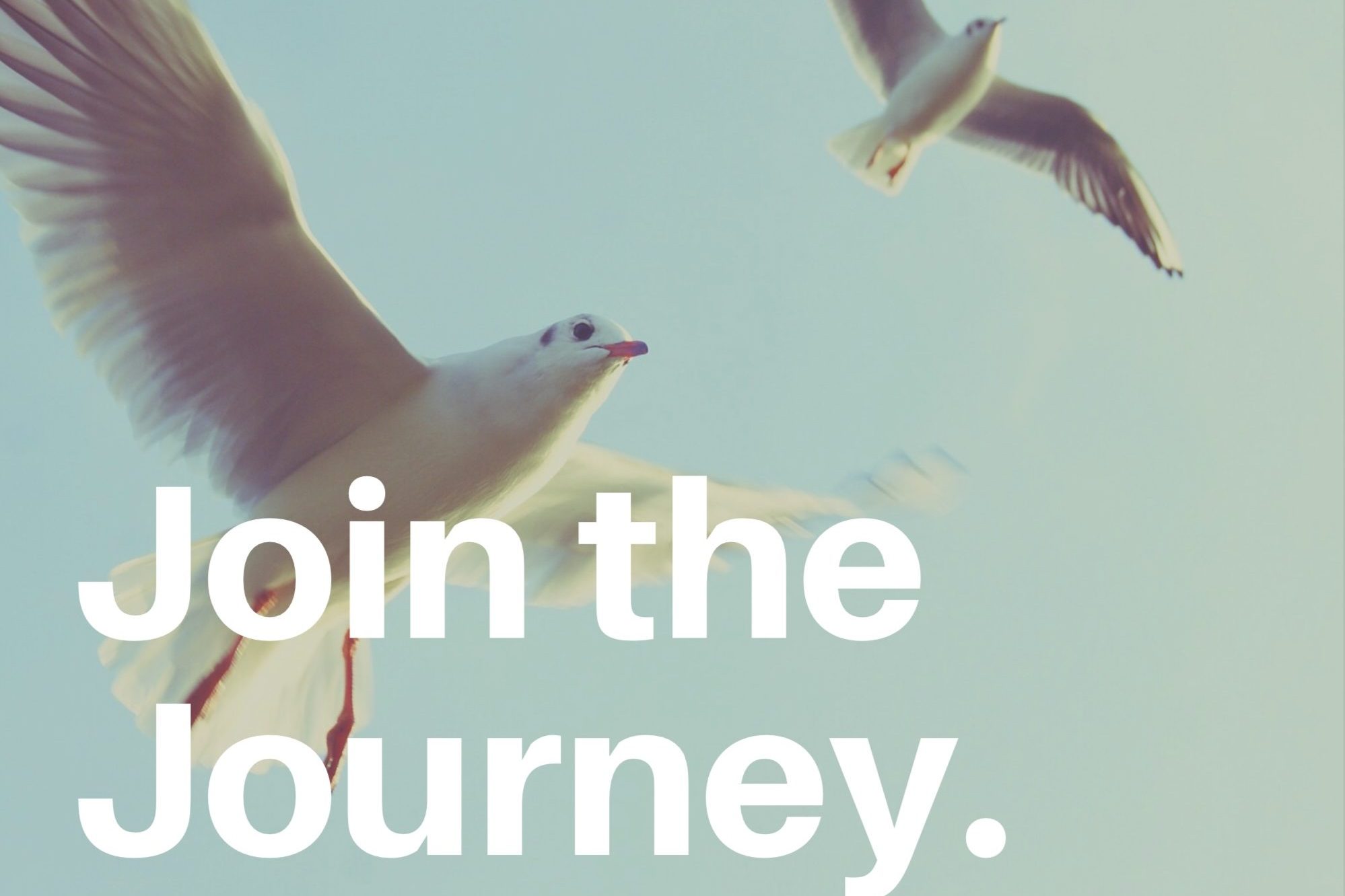 3D4459E6 45D6 48CD 95A7 FB21D5DDAAE6 e1619888516269 3D4459E6 45D6 48CD 95A7 FB21D5DDAAE6 e1619888516269