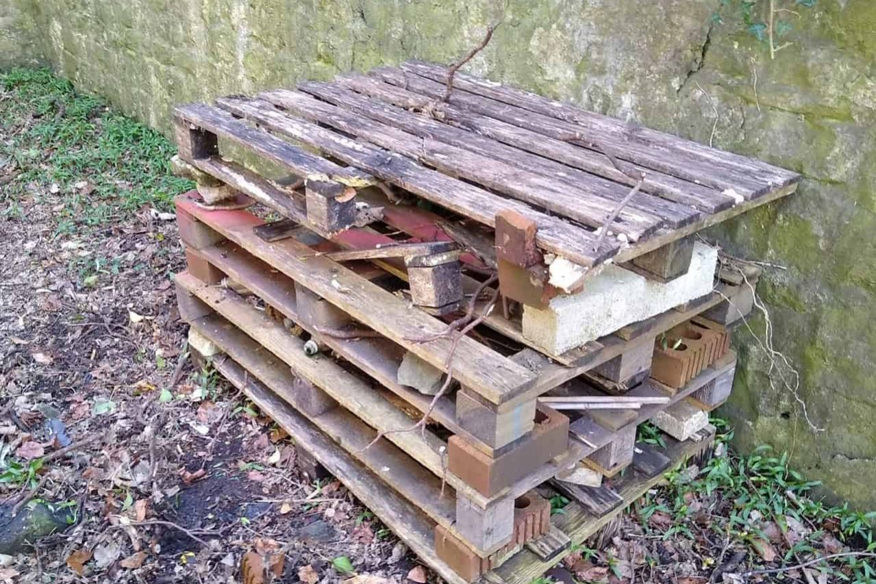 bug hotel