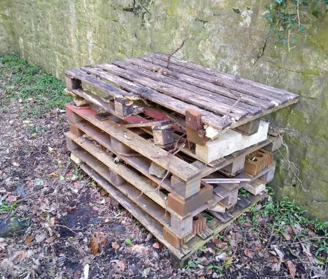 bug hotel