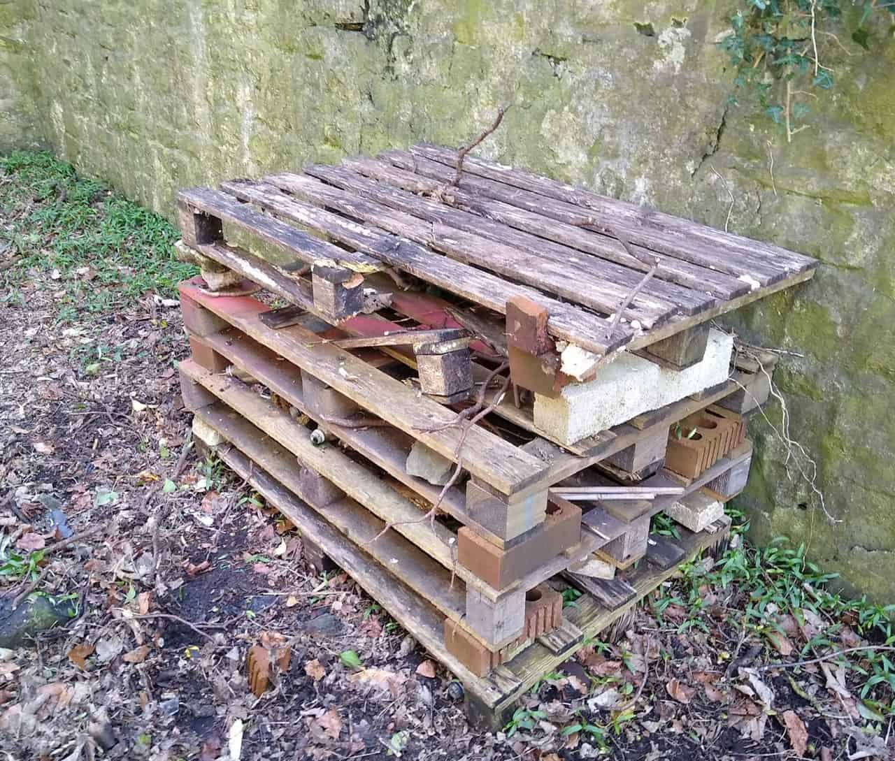 bug hotel