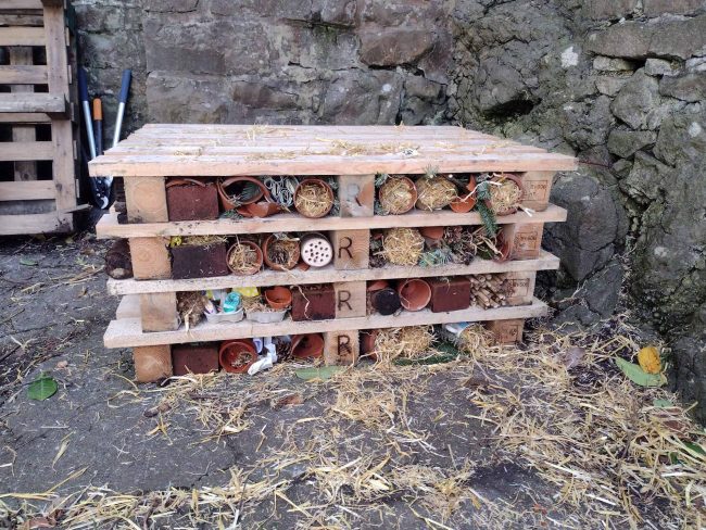 Bug Hotel Coffee Stop 1 Bug Hotel Coffee Stop 1