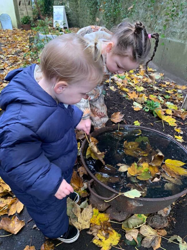 IMG 20241026 WA0016 IMG 20241026 WA0016