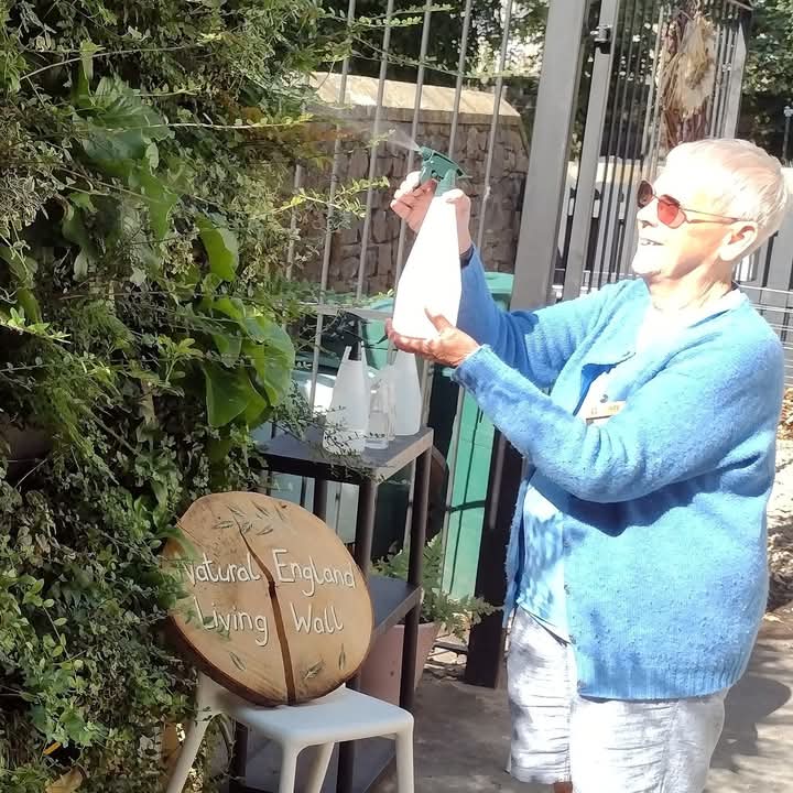 FB IMG 1734346043673