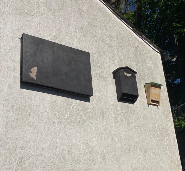 IMG 20250402 WA0010 IMG 20250402 WA0010