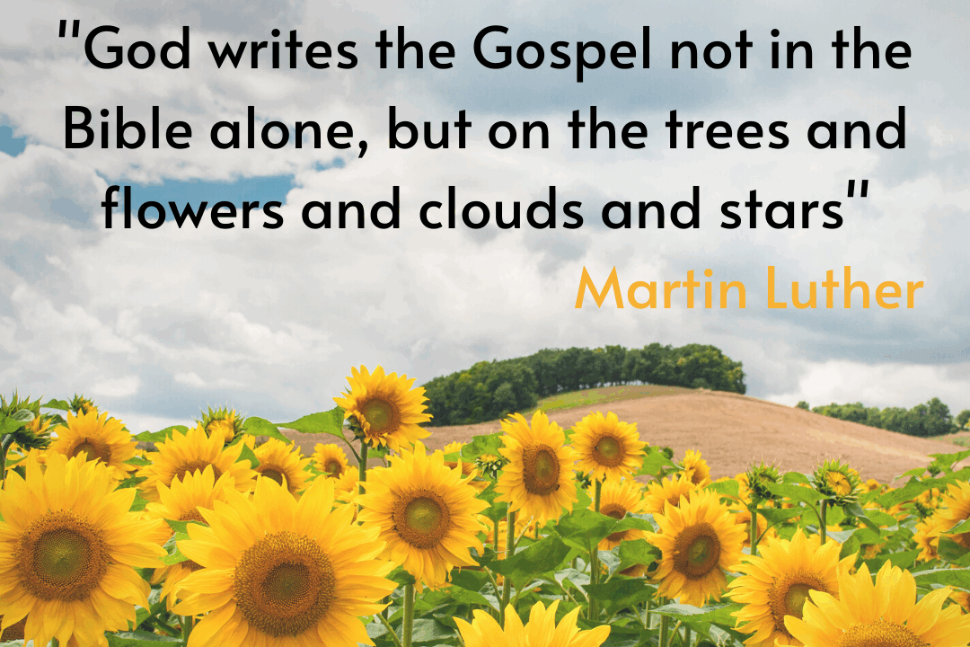 FLOWERS OPTION 1 FLOWERS OPTION 1