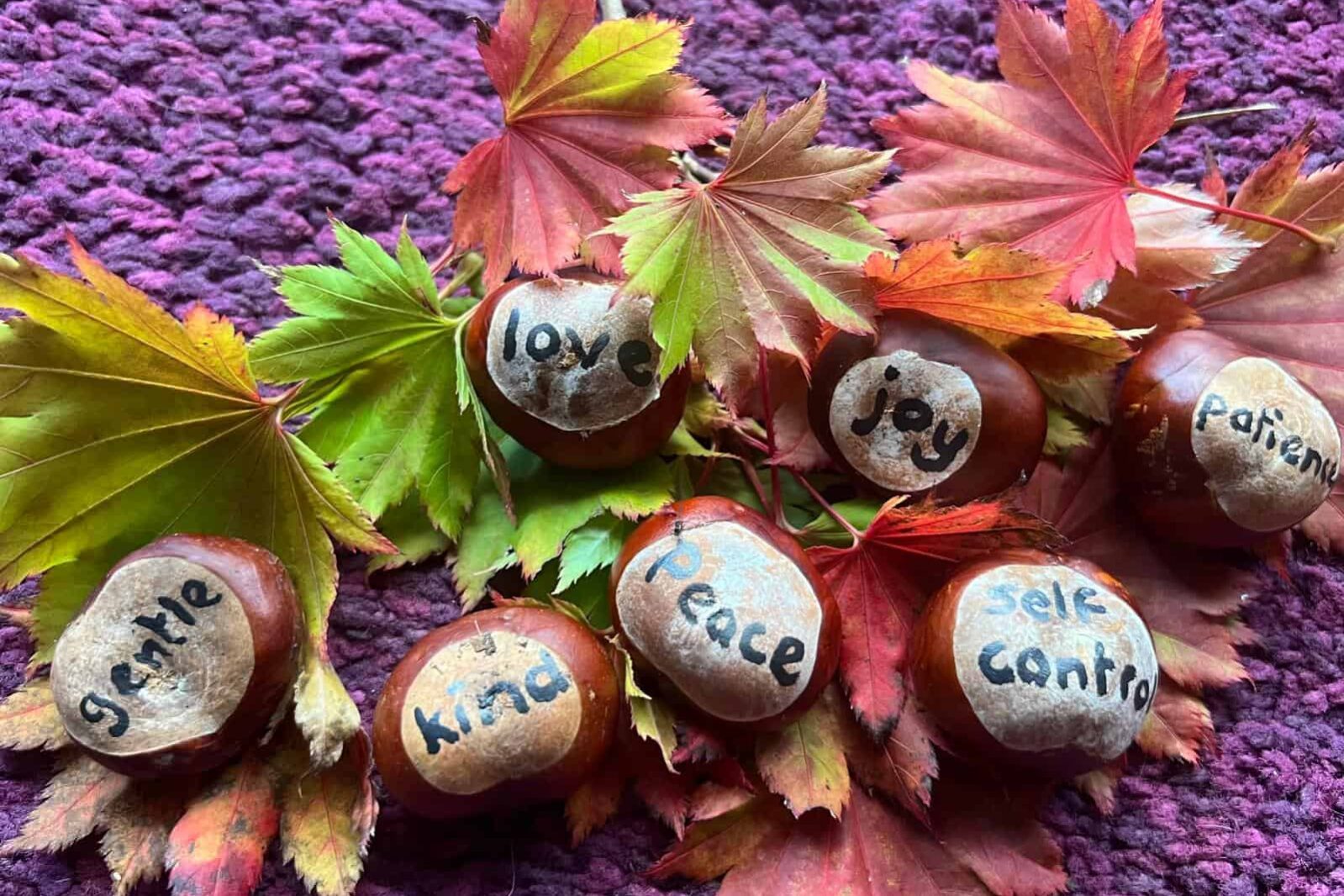 IMG 20250930 WA0003 IMG 20250930 WA0003