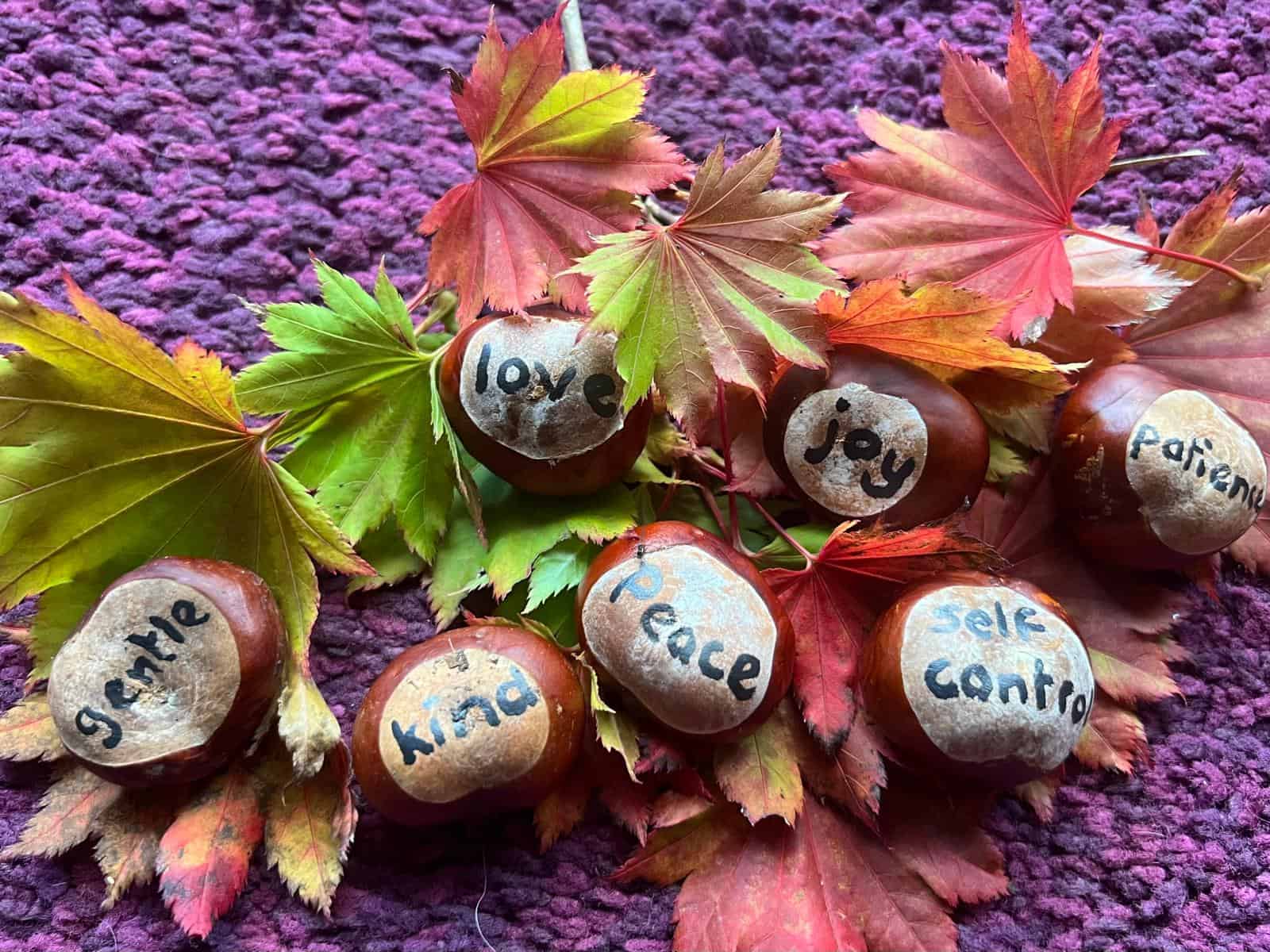 IMG 20250930 WA0003 IMG 20250930 WA0003