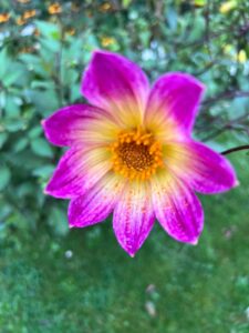 IMG 20251028 WA0003 IMG 20251028 WA0003