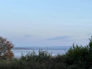 IMG 20251028 WA0007 IMG 20251028 WA0007